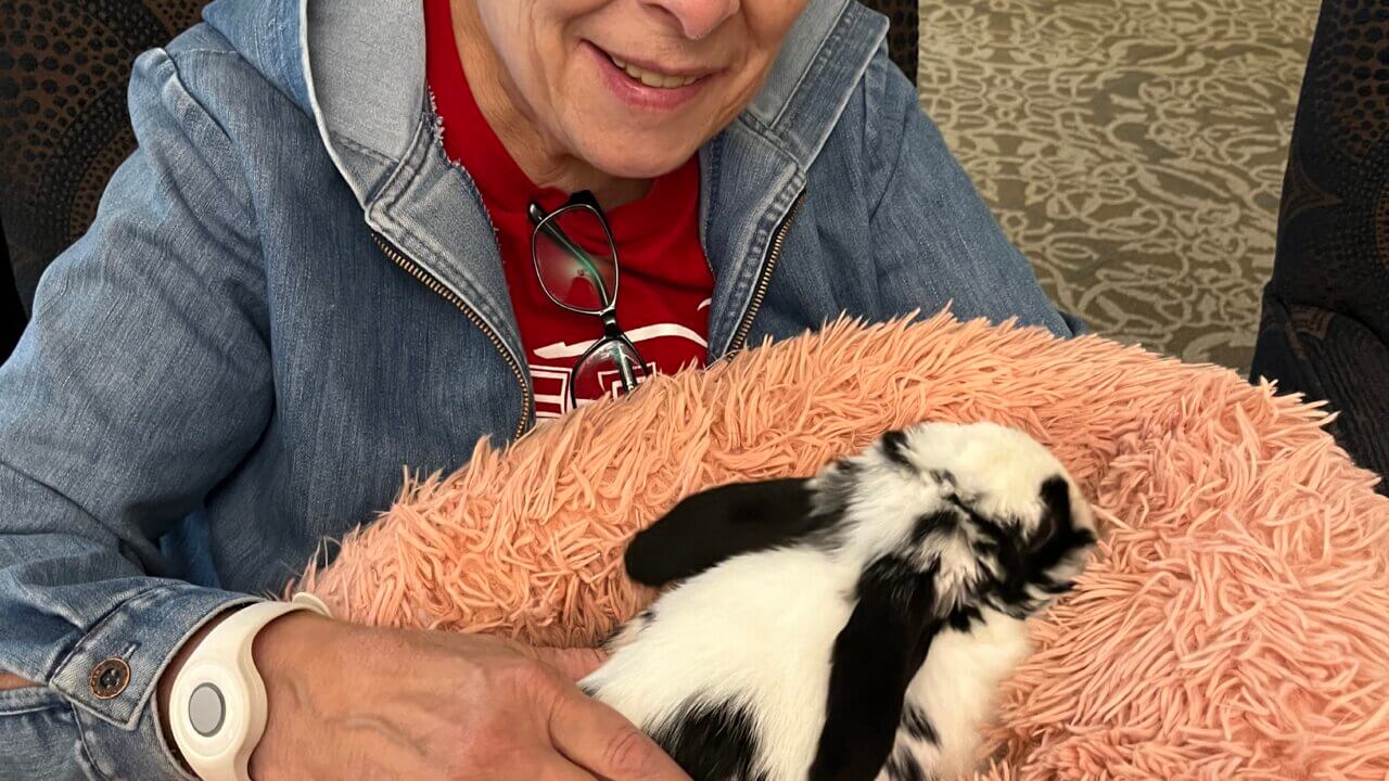 Ruth petting a bunny that is resting on a pillow